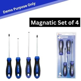 Magnetic Screw Set of 4