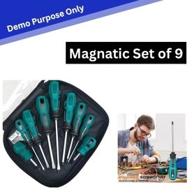 Magnetic Screw Set of 9